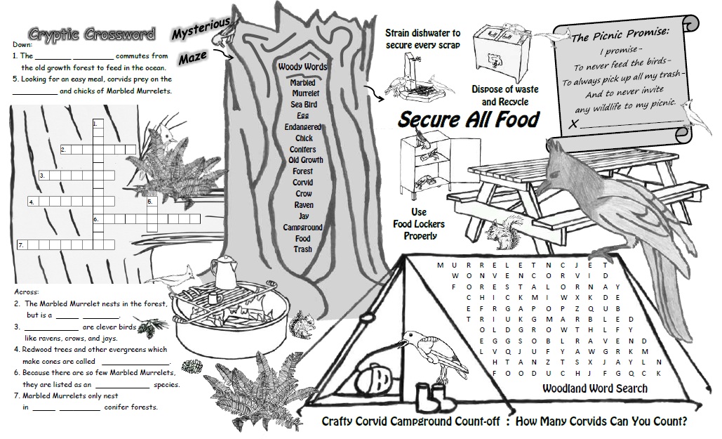 Marbled Murrelet Activity Booklet Page 2